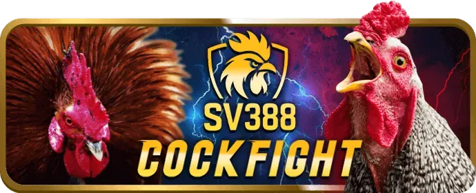 Đăng ký tài khoản king33 code